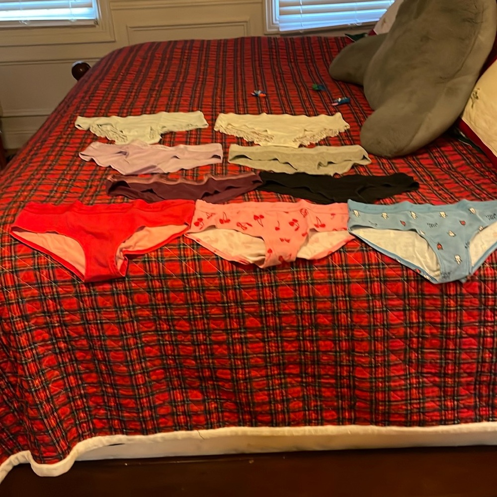 9 pairs of hipster panties.  Used condition.  Some signs of wear
